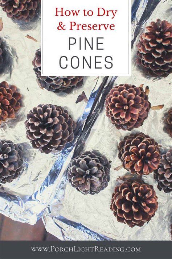Quick Answer: How To Preserve Pine Needles For Crafts