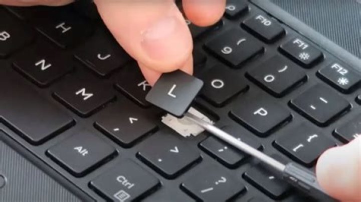 Question: How To Put Back Keyboard Keys