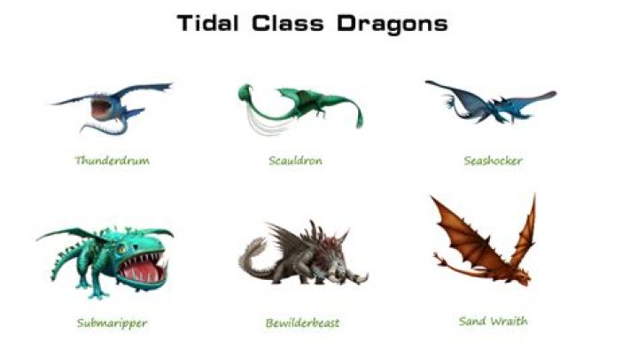 Question: How To Train Your Dragon Tidal Class