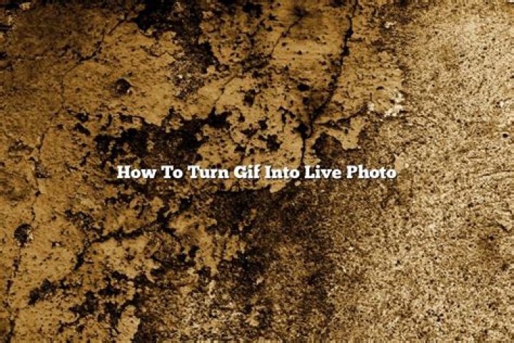 How To Turn Gif Into Live Photo