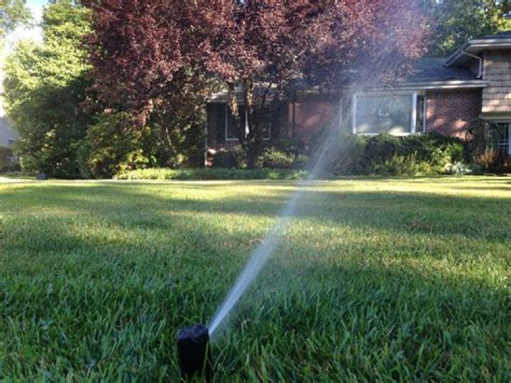 Question: How To Water Large Lawn Without Sprinkler System