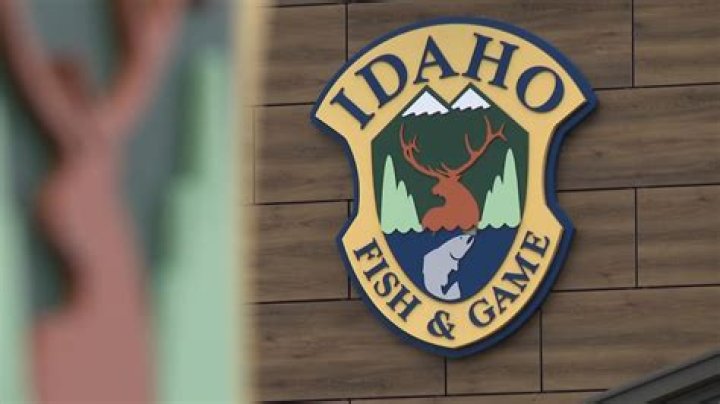 Idaho Fish and Game untangles buck from hammock in Pocatello
