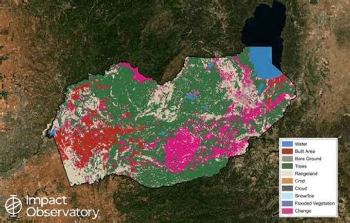 Impact Observatory unveils IO Monitor