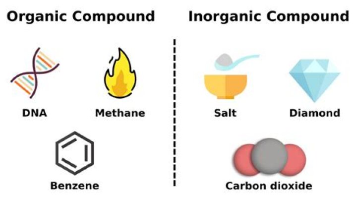 Comprehensive Overview Of Inorganic Biomolecules