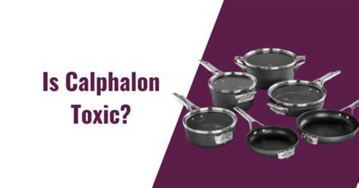 Quick Answer: Is Calphalon Toxic 2