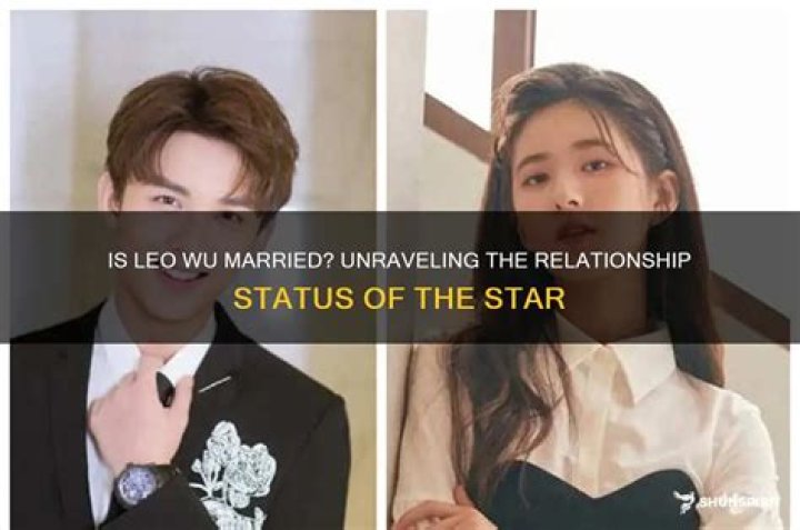 Unraveling The Mystery: Is Leo Wu Married?