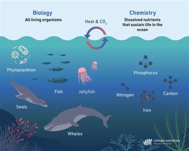 Question: Is Oxygen Biotic Or Abiotic