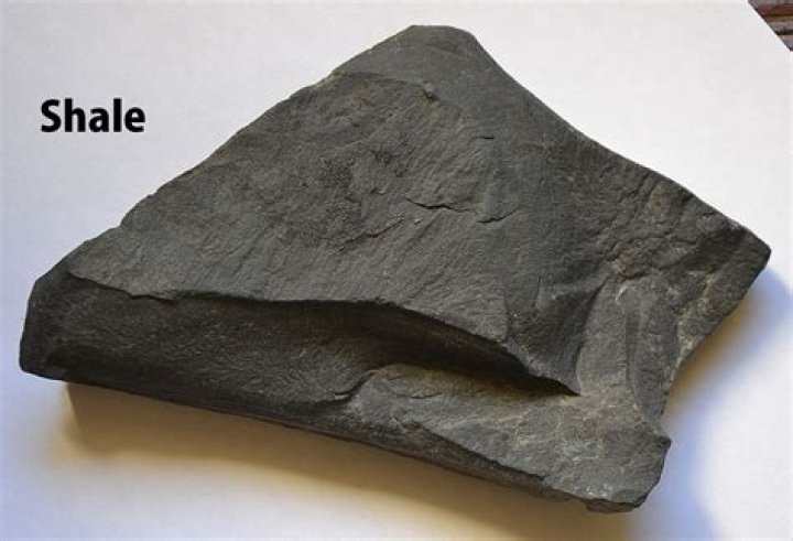 Quick Answer: Is Shale Clastic
