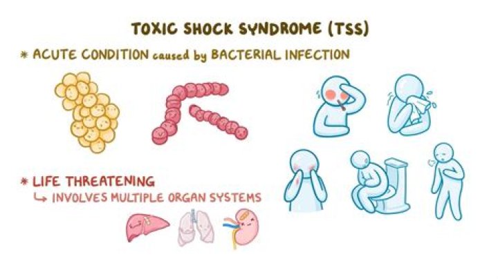 Is Shellac Toxic To The Body