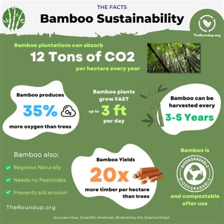 Quick Answer: Is Tencel Better Than Bamboo