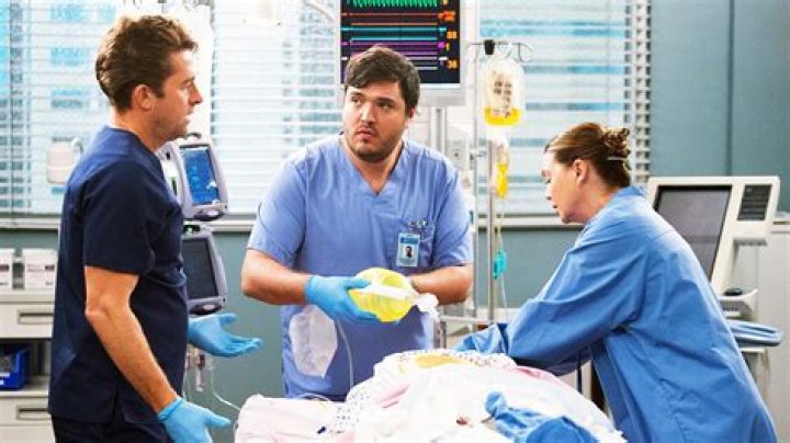 Exploring Isidora Goreshter's Role In Grey's Anatomy