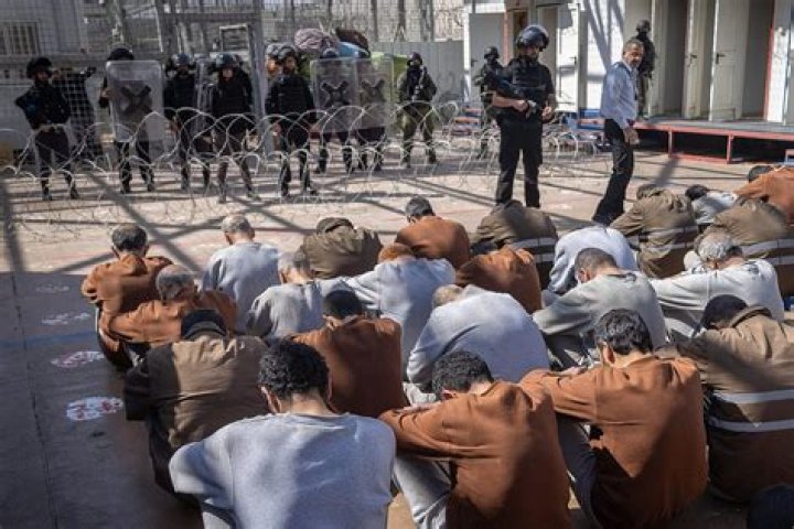 Images from Gaza show dozens of men stripped to their underwear detained by Israeli soldiers