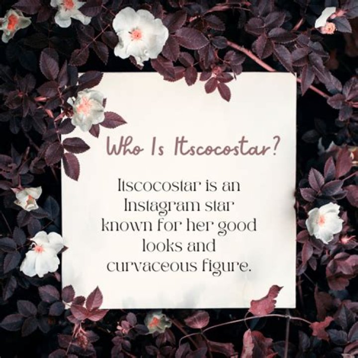 Exploring The World Of Itscocostar: A Deep Dive Into The Online Sensation