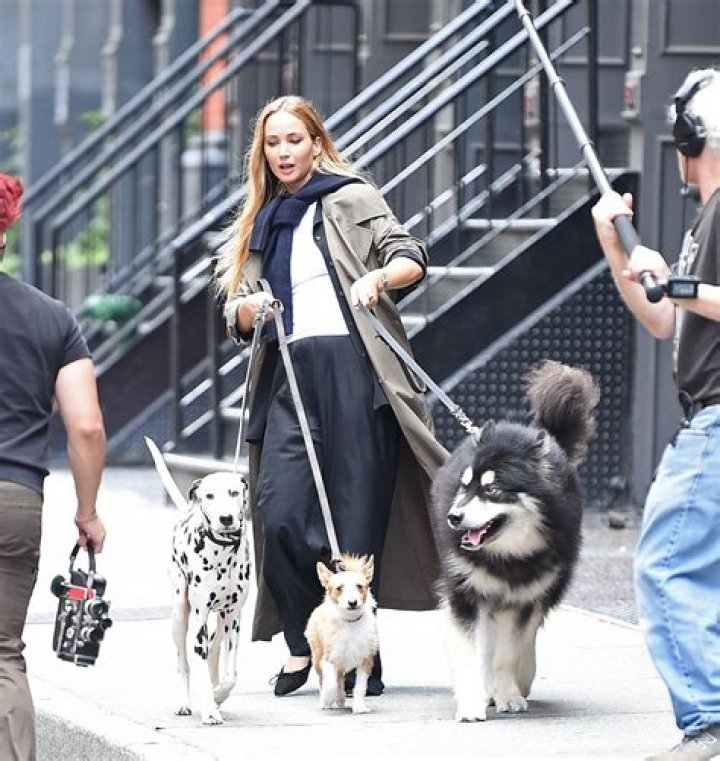Jennifer Lawrence wrangles dogs on the streets of NYC, continues to look amazing