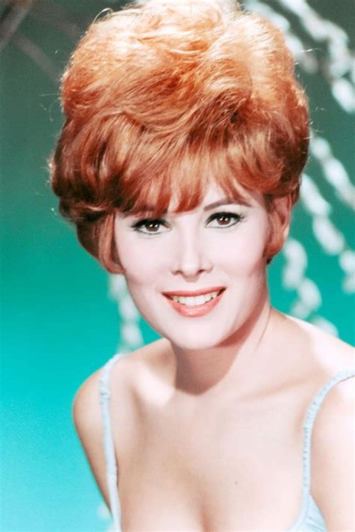 Jill St. John - Read up on all the latest about Jill St. John on Newsner