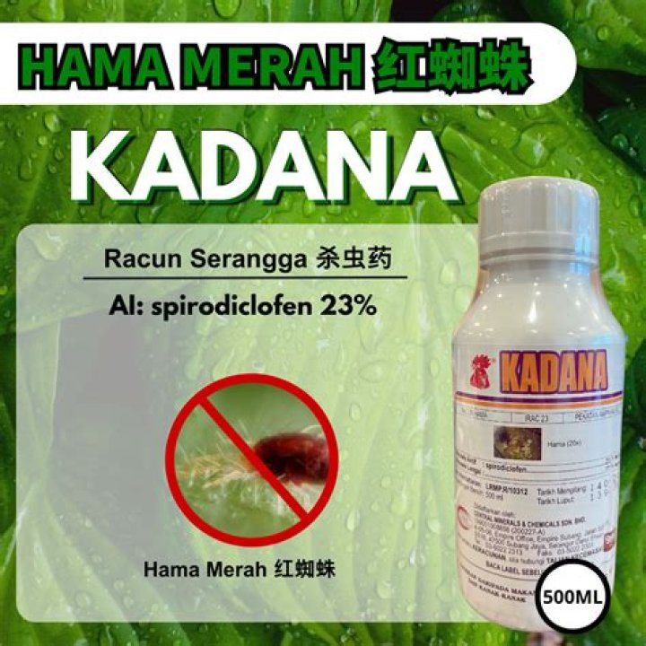 Kadana Pin Code | Postal Code (Zip Code) of Kadana, Panch Mahals, Gujarat, India