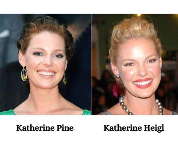 Katherine Pine And Katherine Heigl: A Tale Of Two Talented Actresses