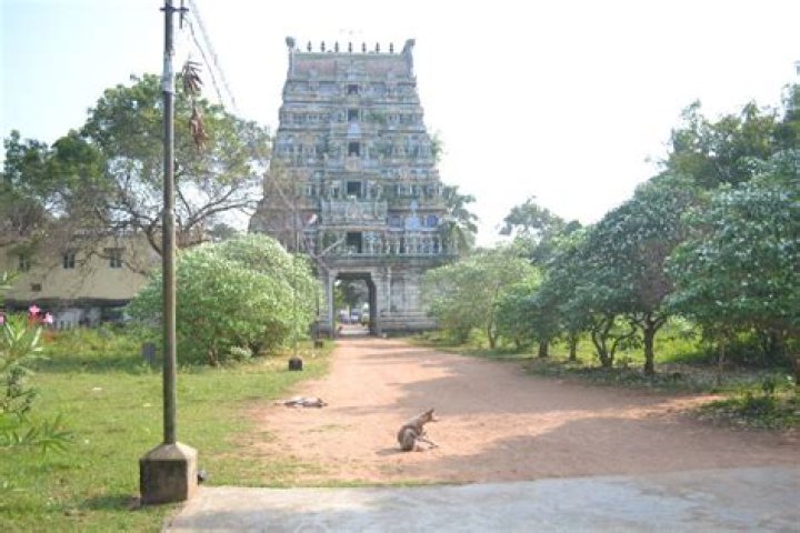 Kattumannarkoil Pin Code | Postal Code (Zip Code) of Kattumannarkoil, Cuddalore, Tamil Nadu, India