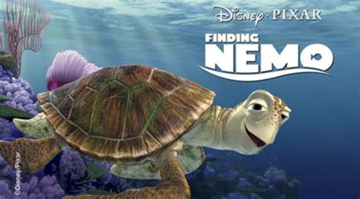 Kids Ask Questions To Crush From 'Finding Nemo' in Video Seen 28M Times