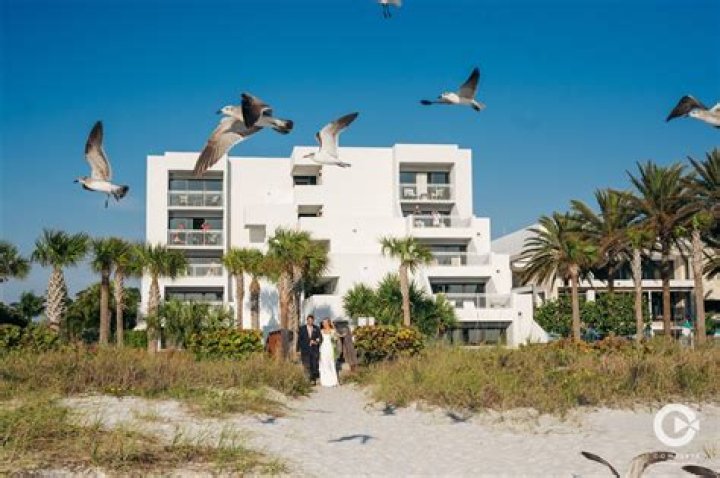 Longboat Key’s Zota Beach Resort Is The Quintessential Place For A Quiet Getaway Weekend
