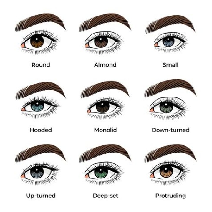 The Best Makeup For Your Eye Shape