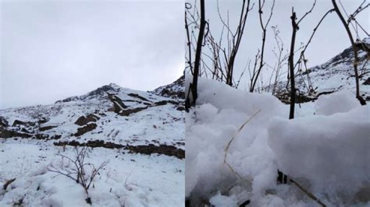 Manali witnesses first snowfall of the year, have a look at the mesmerizing views – India TV