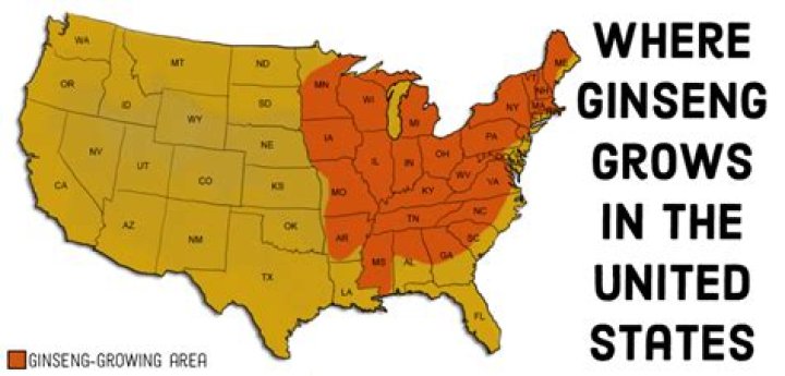 Quick Answer: Map Of Where Ginseng Grows
