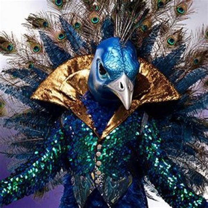 'The Masked Singer' Revealed a Major Clue That Confirms One Contestant's Identity