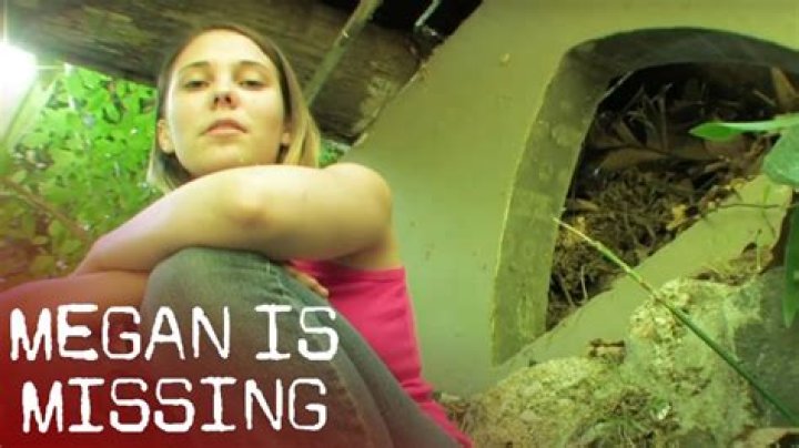 Megan Is Missing 2 Photos: Unveiling The Mystery Behind The Disappearance