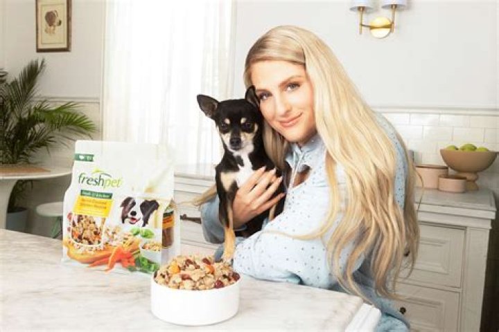 Megan Trainor's Adorable Dogs: A Glimpse Into Her Furry Family