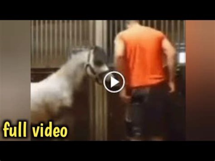 Michael Hanley Horse Video: Exploring The Fascinating World Of Equestrianism