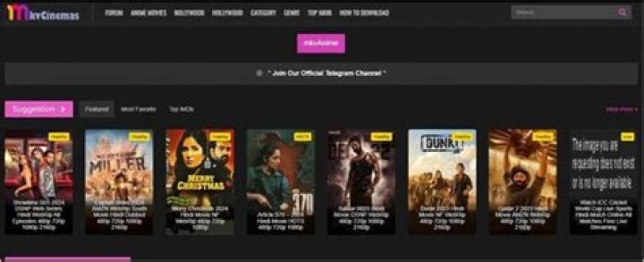 MKV Movies Points: The Ultimate Guide To Understanding MKV Format