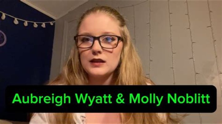 Unraveling The Mysteries Of The Molly Noblitt And Aubreigh Wyatt Case