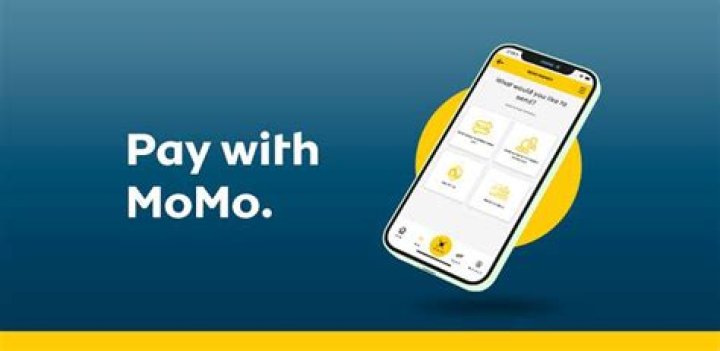 Momo Digital Wallet: The Future Of Cashless Transactions