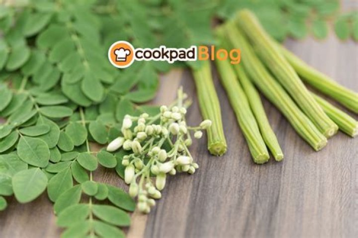 Moringa, or drumstick plant offers sexual benefits for men; Know more – India TV