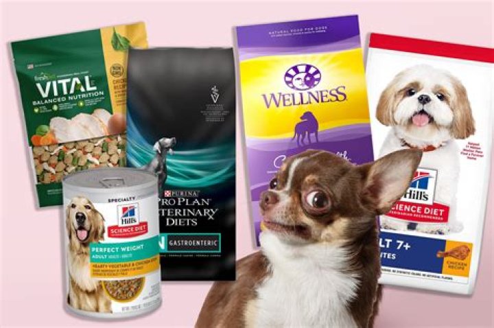 Most Highly Recommended Dog Food: A Comprehensive Guide For Pet Owners
