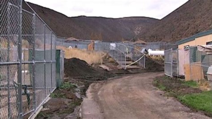 Mudslide rolls through Hailey animal shelter