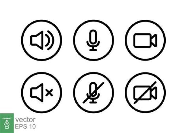 Understanding The Muted Voice Chat Icon In Destiny 2