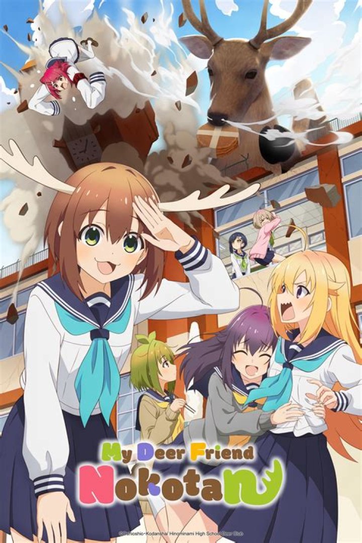 Discovering My Deer Friend Nokotan: Where To Watch?