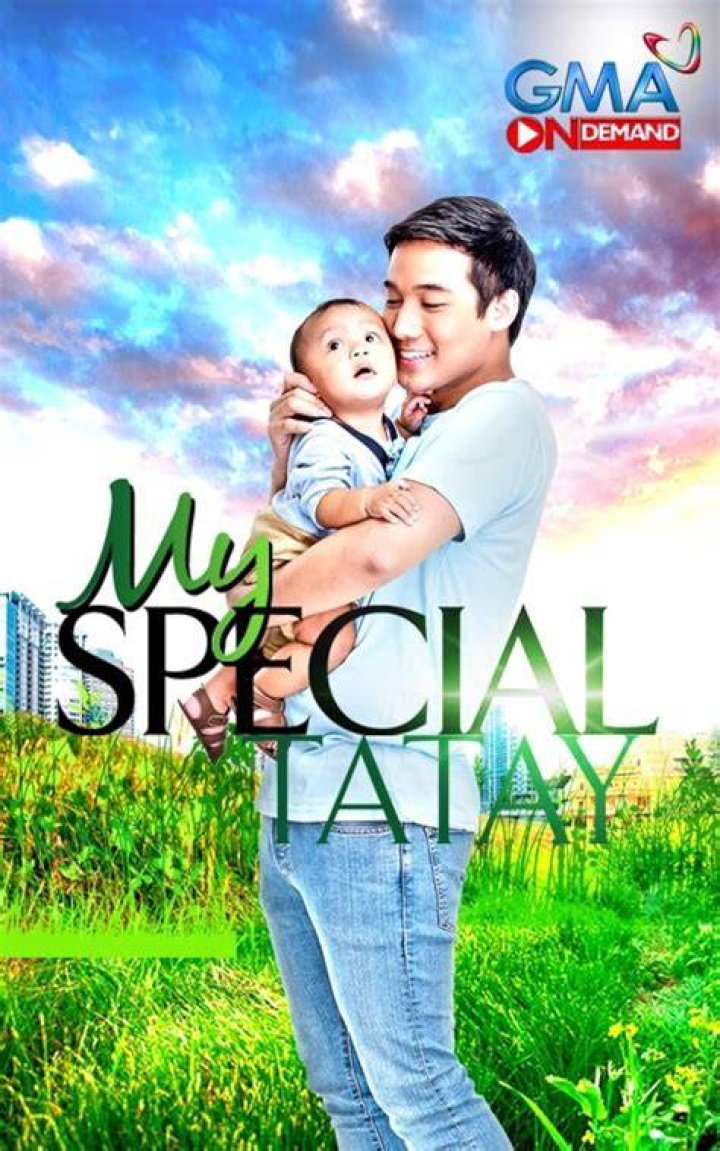 Discovering The Heartwarming World Of My Special Tatay Cast