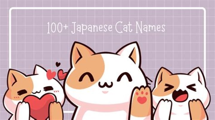 Finding The Perfect Name For Your Cat: A Japanese Perspective