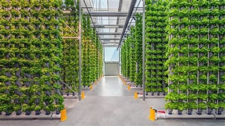 NASA’s plant-growing technology could be used to produce food at military bases