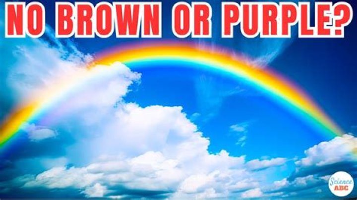 Netizens Wonder Why Rue21 And Rainbow Are Still Open After Reports Say Forever 21 Plans to File Bankruptcy