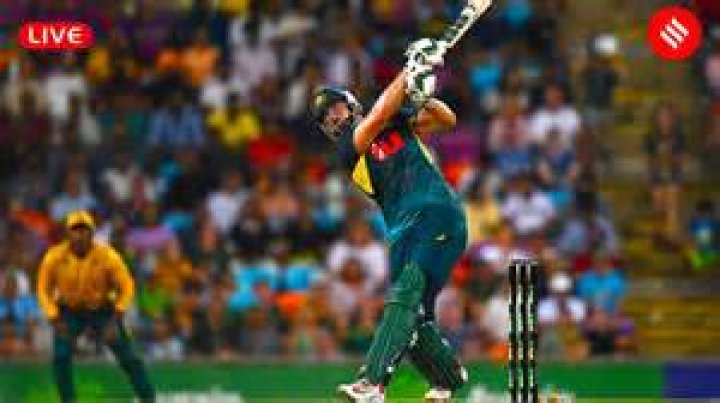 Australia win T20 World CUP 2021, beat new Zealand; NZ vs AUS Scorecard NZ vs AUS Highlights Scorecard – India TV