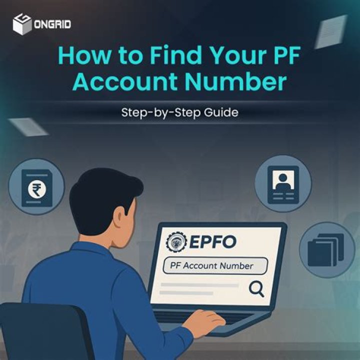 EPFO to credit Rs 54,000 cr EPF interest in 6 cr accounts. How and where to check your PF balance – India TV