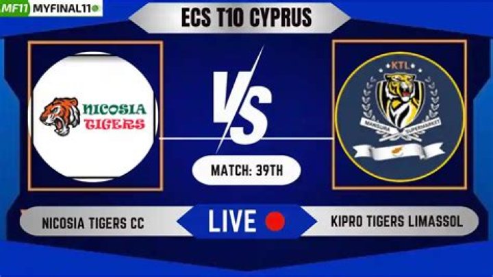Nicosia Fighters CC vs Black Caps ECS Cyprus T10 Live Scorecard Overview