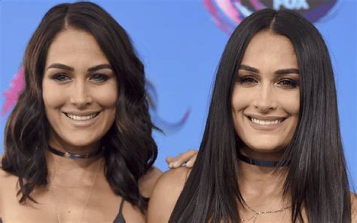 Nikki Bella & Brie Bella Are Both Pregnant