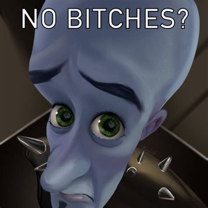 No Bitches Megamind: The Unconventional Journey Of A Modern Icon