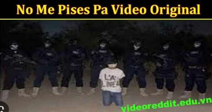 No Me Pises Pa: The Cultural Impact Of A Latin Anthem