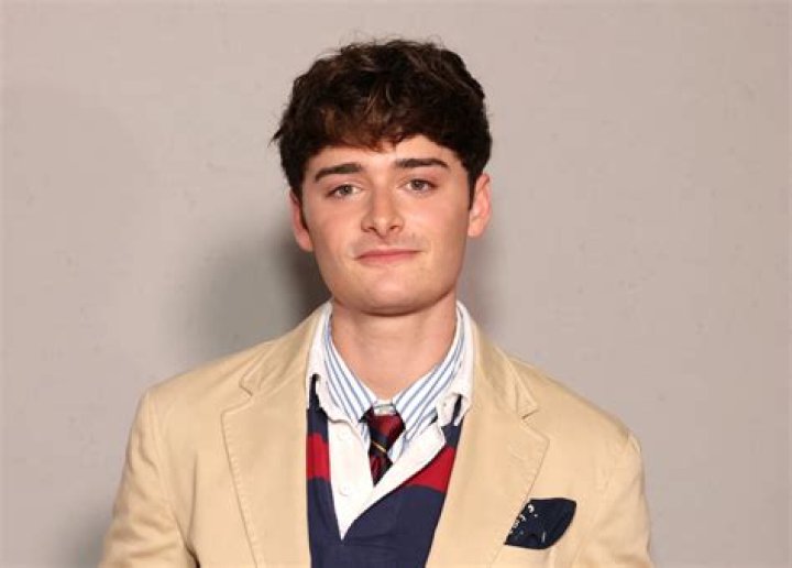 Noah Schnapp Has Come Out As Gay: Stranger Things Actor Talks Sexuality On TikTok